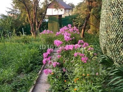 Дача · 3 комнаты · 66 м² · 4.7 сот., мкр Нурлытау (Энергетик), Мкр Нур Алатау — Горная за 25 млн ₸ в Алматы, Бостандыкский р-н