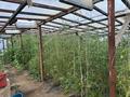 Часть дома · 8 комнат · 114 м² · 100 сот., 2 Набережная 64/1 — Иртыш за 20 млн ₸ в Павлодарской области — фото 19