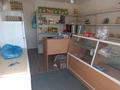 Магазины и бутики · 20 м² за 1 млн ₸ в Каскелене — фото 5