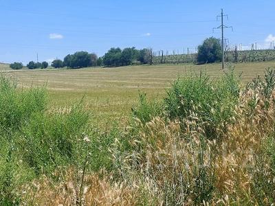 Жер телімі · 6 га, Момынай, бағасы: 4.5 млн ₸ в Ленгере