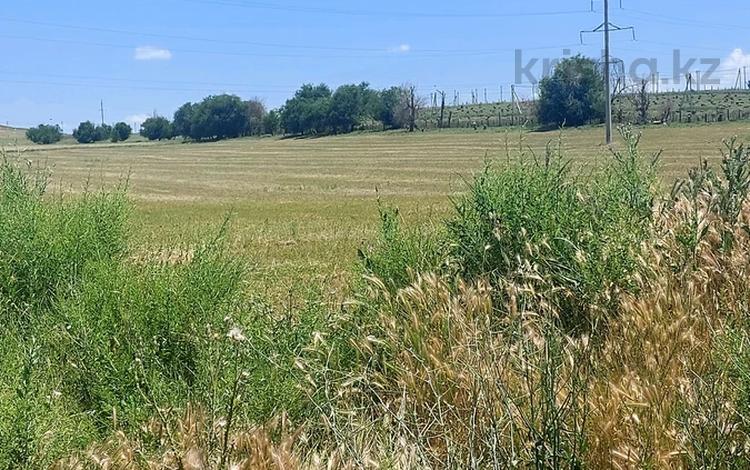 Жер телімі · 6 га, Момынай, бағасы: 4.5 млн ₸ в Ленгере — фото 2