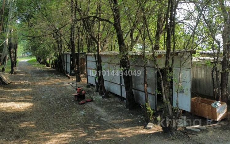 Ферма (комплекс, фазенда) · 90000 м² за 155 млн ₸ в  — фото 2