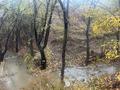 Участок · 9.34 сотки, мкр Нуршашкан (Колхозши), Мейрим 10 за 42 млн ₸ в Алматы, Турксибский р-н — фото 8