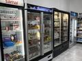 Магазины и бутики · 145 м² за 900 000 ₸ в Астане, Нура р-н — фото 20