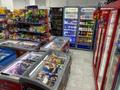 Магазины и бутики · 145 м² за 900 000 ₸ в Астане, Нура р-н — фото 6