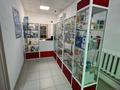 Свободное назначение · 60 м² за 300 000 ₸ в Актобе, мкр Шанхай — фото 4