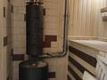 Отдельный дом · 4 комнаты · 300 м² · 9 сот., Центральная 17 — Сад Клён за 150 млн ₸ в Павлодаре — фото 23