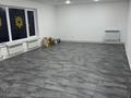 Медцентры и аптеки · 170 м² за 38 млн 〒 в Усть-Каменогорске — фото 13