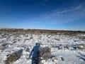 Участок · 3 га, Кызылорда за 11.9 млн ₸ — фото 12