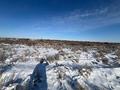 Участок · 3 га, Кызылорда за 11.9 млн ₸ — фото 13