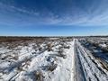 Участок · 3 га, Кызылорда за 11.9 млн ₸ — фото 15