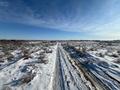 Участок · 3 га, Кызылорда за 11.9 млн ₸ — фото 16