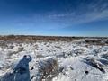 Участок · 3 га, Кызылорда за 11.9 млн ₸ — фото 5