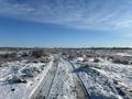 Участок · 3 га, Кызылорда за 11.9 млн ₸ — фото 7