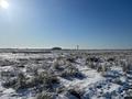 Участок · 3 га, Кызылорда за 11.9 млн ₸ — фото 8