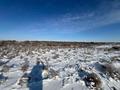 Участок · 3 га, Кызылорда за 11.9 млн ₸ — фото 10