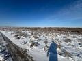 Участок · 3 га, Кызылорда за 11.9 млн ₸ — фото 11