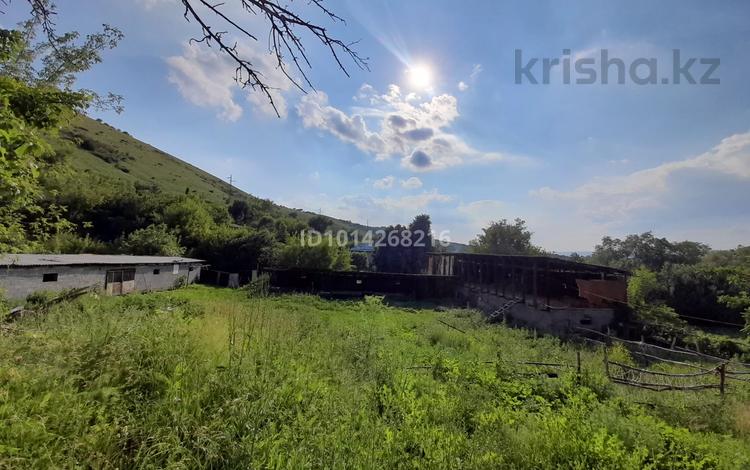 Мал бордақылау базасы / Откормочная база · 2000 м² за 12 млн ₸ в Текели — фото 2