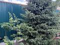 Жеке үй · 4 бөлме · 100 м² · 4 сот., Асылбекова 22-1, бағасы: 49 млн 〒 в Жезказгане — фото 16