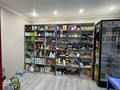 Дүкендер мен бутиктер · 67 м², бағасы: 30 млн ₸ в Таразе, мкр Жансая — фото 16