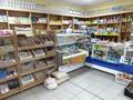 Магазины и бутики • 180 м² за 15.5 млн 〒 в Дарьинске — фото 6