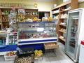 Магазины и бутики • 180 м² за 15.5 млн 〒 в Дарьинске — фото 7