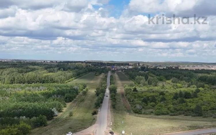 Жер телімі · 8 сотық, Аккайын, бағасы: 12 млн ₸ — фото 6