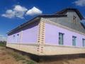 Отдельный дом · 7 комнат · 230 м² · 300 сот., Соло-тобе ауылы за 9 млн ₸ в Шиели — фото 3