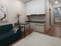 1-бөлмелі пәтер · 28 м² · 4/5 қабат, Басаркобыз 1/15 — Саина, бағасы: 250 000 ₸ в Алматы, Алатауский р-н — фото 3