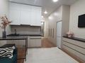 1-бөлмелі пәтер · 28 м² · 4/5 қабат, Басаркобыз 1/15 — Саина, бағасы: 250 000 ₸ в Алматы, Алатауский р-н — фото 5