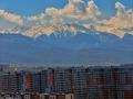 2-комнатная квартира · 48 м² · 19/20 этаж, Тургут Озала 237 — Абая Турккбаева за 22 000 ₸ в Алматы, Бостандыкский р-н — фото 10