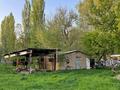 Часть дома · 3 комнаты · 33 м² · 33 сот., Достык 29 за 13 млн ₸ в Шымкенте — фото 5