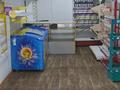 Магазины и бутики • 64.8 м² за 44.5 млн 〒 в Алматы, Ауэзовский р-н — фото 16