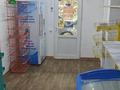 Магазины и бутики • 64.8 м² за 45 млн 〒 в Алматы, Ауэзовский р-н — фото 17