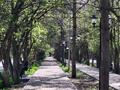 3-бөлмелі пәтер · 58.7 м² · 2/4 қабат, Шегебаева 7 — Возле архива, бағасы: 23 млн ₸ в  — фото 15