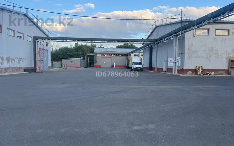 Қоймалар · 135 м², бағасы: 641 250 ₸ в Астане, Сарыарка р-н — фото 18