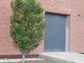 Свободное назначение · 1000 м² за 3 млн ₸ в Атырау — фото 6