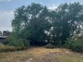 Отдельный дом · 5 комнат · 100 м² · 10 сот., Село Мойнак за 10 млн ₸ в Талдыкоргане — фото 3