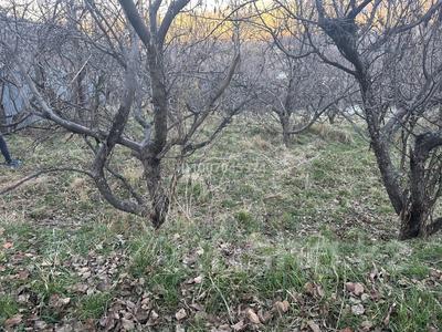 Участок · 25 соток, мкр Каменское плато, Обсерватория 5 — Обсерватория за 65 млн 〒 в Алматы, Медеуский р-н