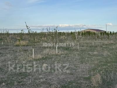 Жер телімі · 300 га, 1 1 — Махамбет, бағасы: 65 млн ₸ в Атырау