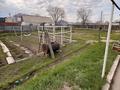 Часть дома · 4 комнаты · 97.3 м² · 10 сот., Переулок Каржаубайулы 5 — Орманды за 28.5 млн ₸ в Семее, Красный Кордон — фото 2