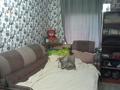 3-комнатная квартира · 55.6 м² · 3/5 этаж, Пришахтинск, Зелинского 24\5 за 12.9 млн ₸ в Караганде, Алихана Бокейханова р-н — фото 9