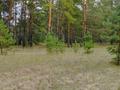 Отдельный дом · 4 комнаты · 140 м² · 20 сот., Лесная 31 за 4 млн ₸ в Жыланды
