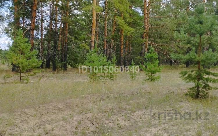 Отдельный дом · 4 комнаты · 140 м² · 20 сот., Лесная 31 за 4 млн ₸ в Жыланды — фото 2