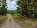 Отдельный дом · 4 комнаты · 140 м² · 20 сот., Лесная 31 за 4 млн ₸ в Жыланды — фото 2