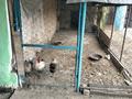 Отдельный дом · 4 комнаты · 95 м² · 19 сот., Шәкен айманв 38 — Шоқан Уәлиханов за 18 млн ₸ в Карабулаке — фото 11
