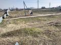 Участок · 25 соток, Кызыл кайрат Сейфуллина - за 10 млн 〒 в Талгаре — фото 2