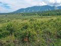 Участок · 280 га, Без улица за 180 млн ₸ в  — фото 9
