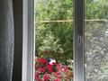 Отдельный дом · 5 комнат · 220 м² · 9 сот., Мкр. Толкын 4 за 43 млн ₸ в Атырау — фото 34