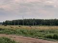 Участок · 16 соток, Майкотова 45 за 4.8 млн 〒 в Акколе — фото 6